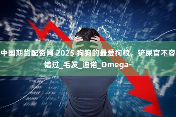 中国期货配资网 2025 狗狗的最爱狗粮，铲屎官不容错过_毛发_迪诺_Omega-