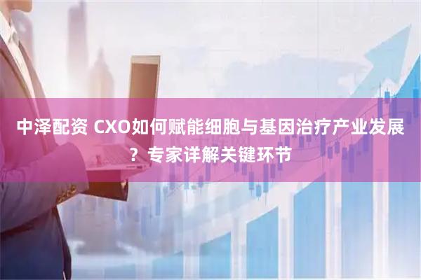 中泽配资 CXO如何赋能细胞与基因治疗产业发展？专家详解关键环节