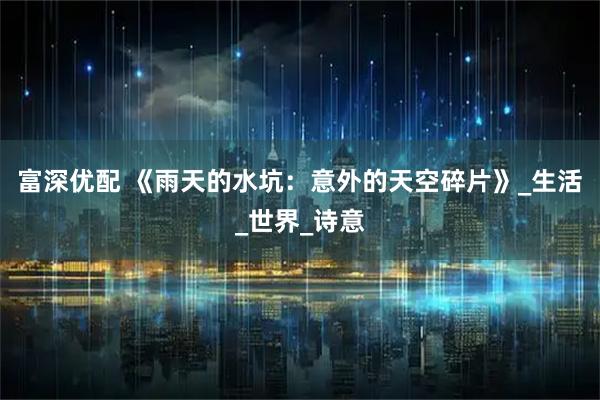 富深优配 《雨天的水坑：意外的天空碎片》_生活_世界_诗意